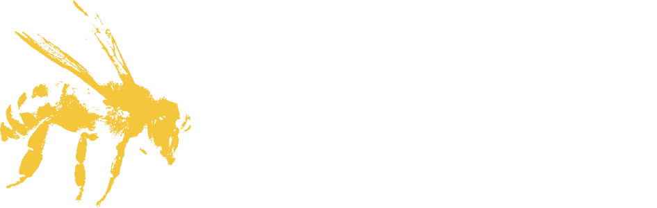 Manzo